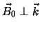 $\vec B_{0} \perp \vec k$