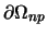 $\partial \Omega_{np}$