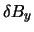 $\delta B_{y}$