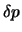$\displaystyle \delta p$